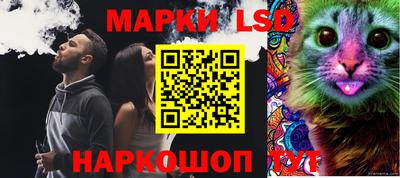 шишки Ликино-Дулёво